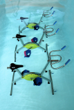 AquaSoins